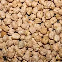 Kabuli Chickpeas