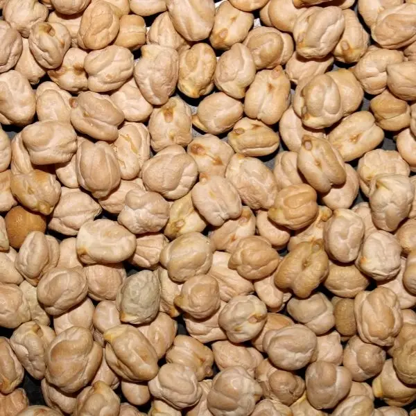 Kabuli Chickpeas