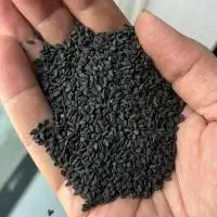 Sesame Seeds