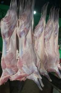 Premium Fresh Chilled Mutton Carcass