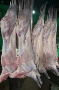 Premium Fresh Chilled Mutton Carcass