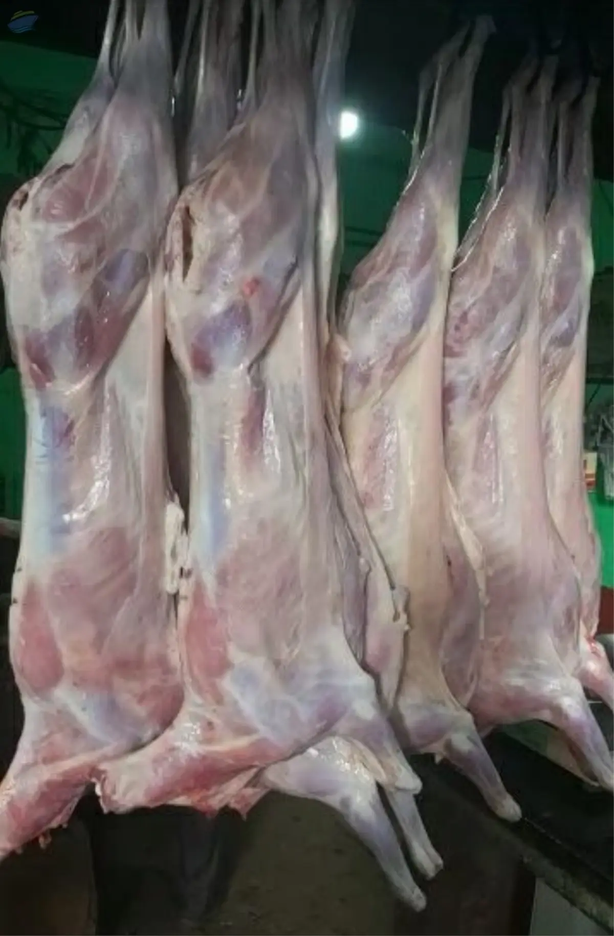 Premium Fresh Chilled Mutton Carcass