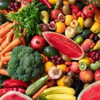 Premium Fresh Fruits for Export Quality