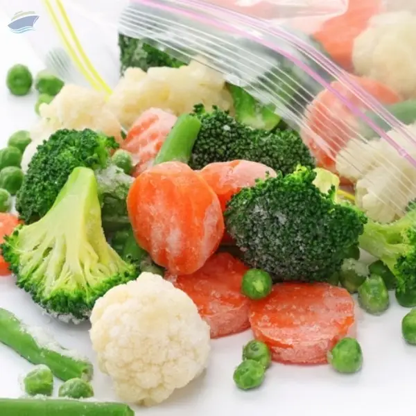Premium Export Quality Fresh Vegetables