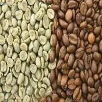 Robusta Green Coffee Bean