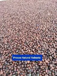 Robusta Green Coffee Beans