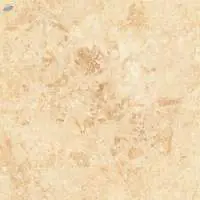 Polished Glazed Digital Vitrified Tiles