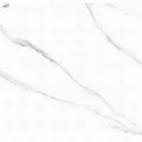 Polished Glazed Digital Vitrified Tiles