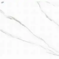 Polished Glazed Digital Vitrified Tiles