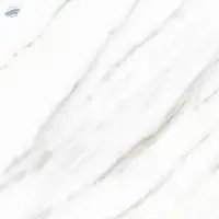 Polished Glazed Digital Vitrified Tiles