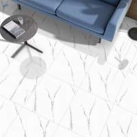 Polished Glazed Digital Vitrified Tiles
