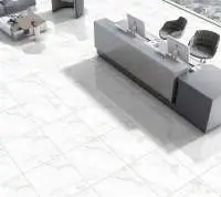 Polished Glazed Digital Vitrified Tiles