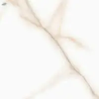 Polished Glazed Digital Vitrified Tiles