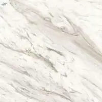 Polished Glazed Digital Vitrified Tiles