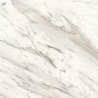 Polished Glazed Digital Vitrified Tiles