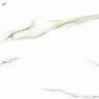 Polished Glazed Digital Vitrified Tiles
