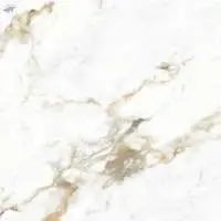 Polished Glazed Digital Vitrified Tiles