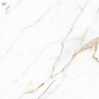 Polished Glazed Digital Vitrified Tiles