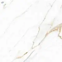 Polished Glazed Digital Vitrified Tiles