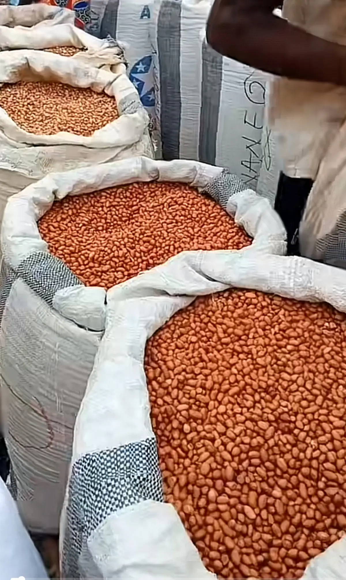Groundnuts ( Peanuts)