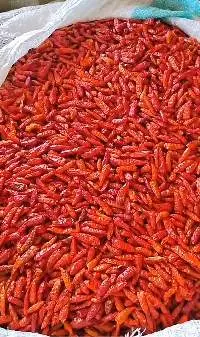 Dried Chilli Pepper (Bird's Eye & Cayenne)