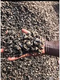 Palm Kernel Shells (PKS) Biomass Fuel