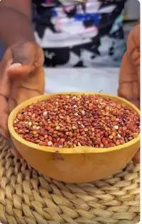 Non-GMO Sorghum Grain