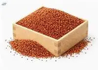 Finger Millet