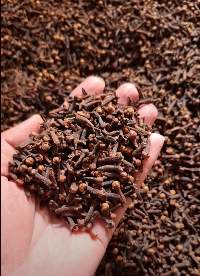 Premium Cloves AB6
