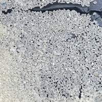 Vietnamese Japonica Rice 5% Broken