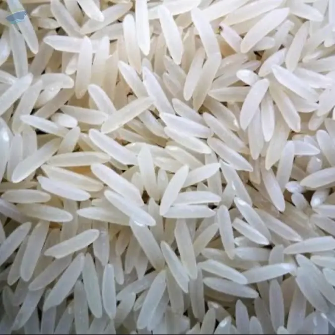 Rice (Basmati & Non-Basmati)