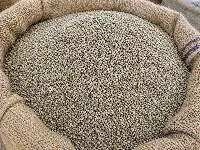 Bajra (Pearl Millet)