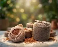 Cocopeat Coins Small