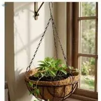 Cocopeat Hanging Cup Pot