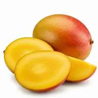 Premium Quality Fresh Mangoes for Export 