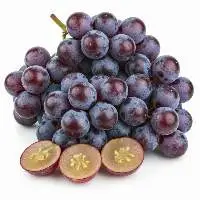 Premium Quality Fresh Green Grapes