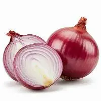 Onion 