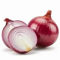 Premium Quality Fresh Indian Red Onion 