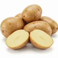 High Quality Export Grade Fresh Potato