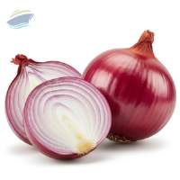 Fresh Premium Quality Indian Red Onion 