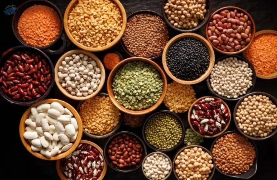 Pulses & Lentils  