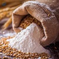 Wheat Grains & Premium Flours