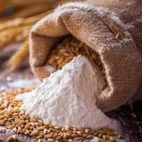 Wheat Grains & Premium Flours