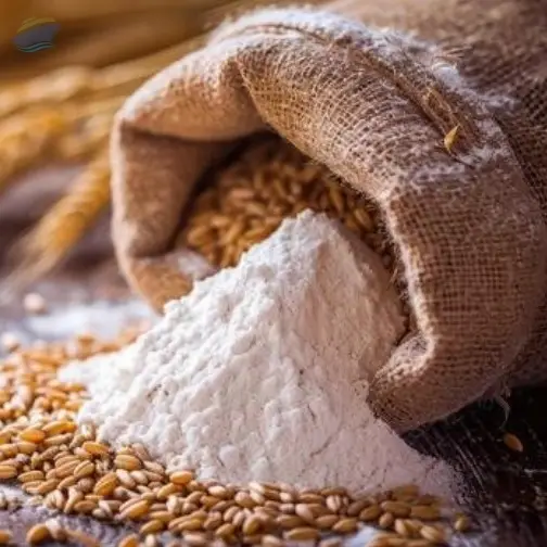 Wheat Grains & Premium Flours