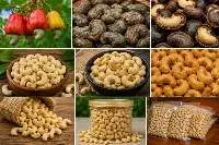 Cashew Nut