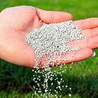 Urea Prilled N 46% / Urea Granular N 46%