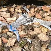 Premium Grade Beech Firewood Logs