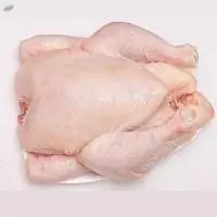 Whole Frozen Chicken For Export With IQF