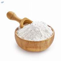 Whole Wheat Bread Flour