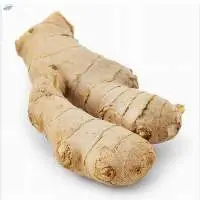 Premium Quality Fresh Ginger